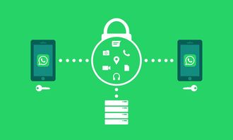 爱游戏电竞竞猜-体育新闻采编流程中的内容安全机制构建，体育新闻报道要求